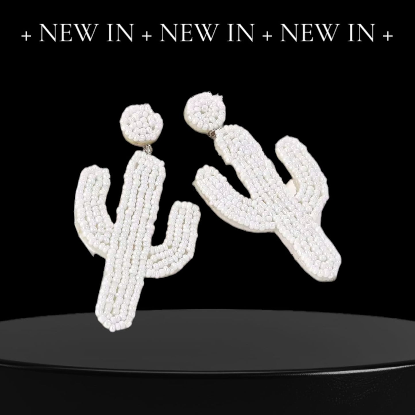 Handmade Cactus Earrings For Women